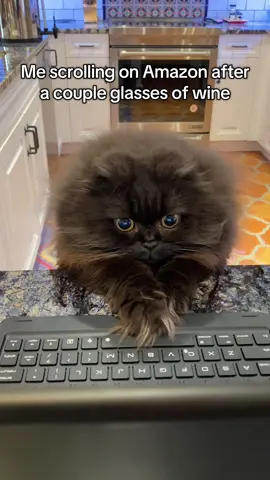 Add to cart… #cat #cats #gatos #gato #fyp 