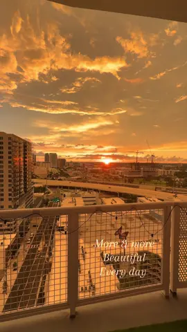 Nature is beautiful ✨ #tampabay #tampatok 