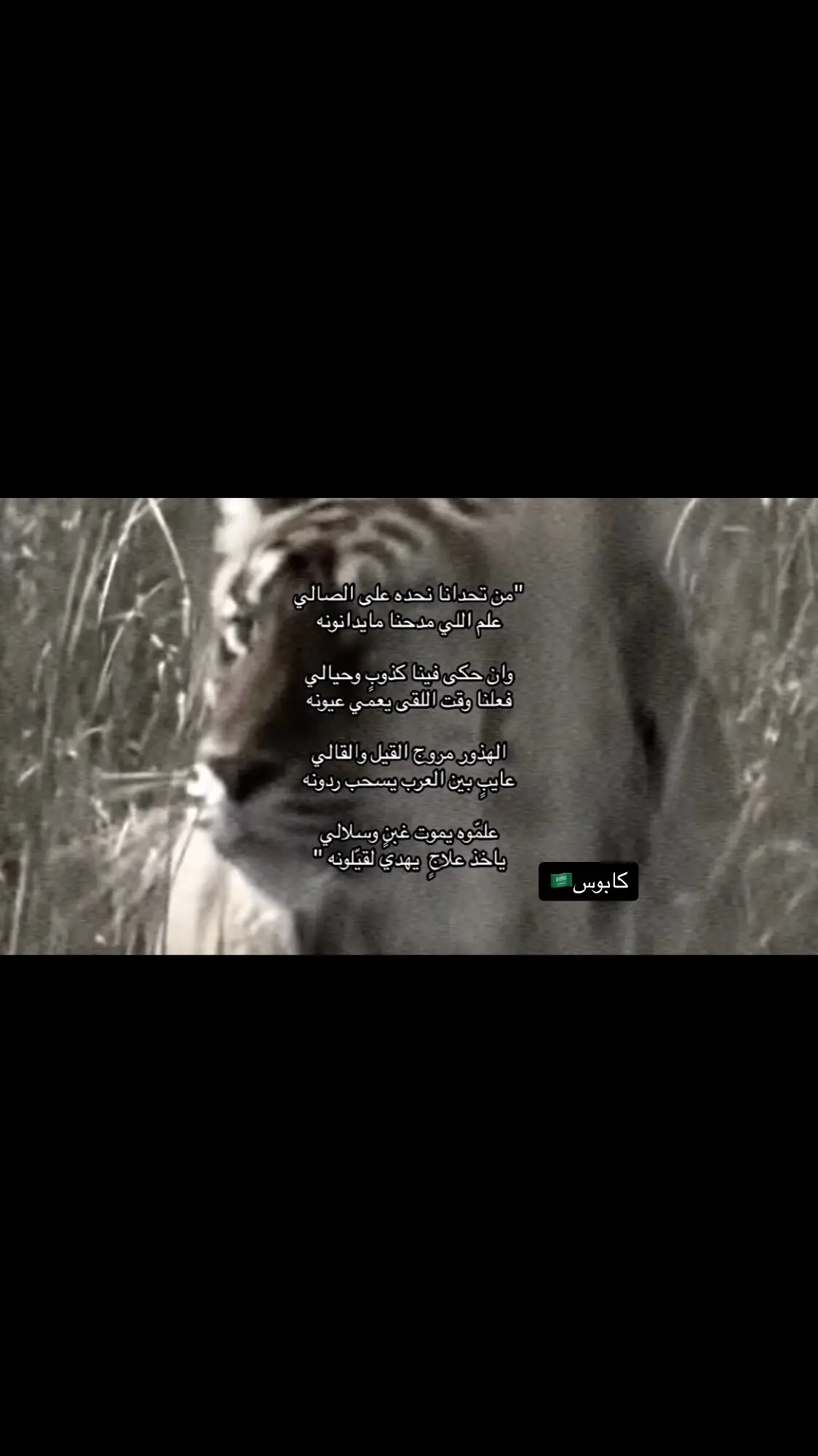 #جفران_بن_هضبان #fyp #هاشتاق #foryou 