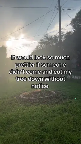 #tree #fyp #viral #sad #help