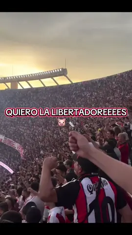 Copa Libertadores 🏆🐔 #riverhinchada #riverplate #copalibertadores #viral 