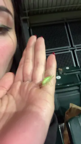 Made a NEW FRIEND!! At a baseball game!! 