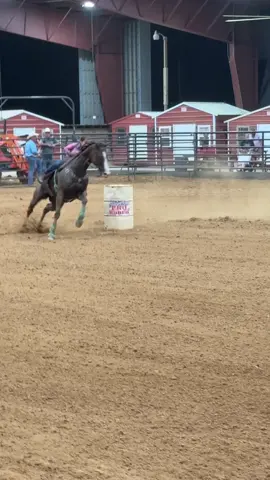 Let’s goo 😤😤 #fyp #paysliemartine #barrelracing #barrelracer #barrelhorse 