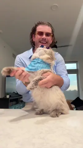 Boogie nights! #fyp #funny #catsoftiktok 