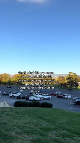 #andrews_44 