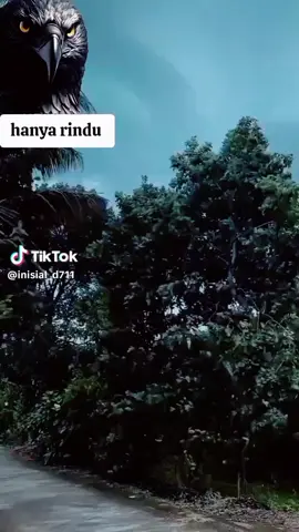 informasi Kalbar hari  untuk yang ada di sana  aku rindu 💞 Kalimantan Barat tahun 2025 informasi Kalbar hari 