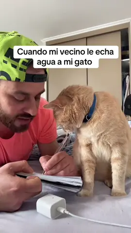 Con mi gato no #nickaelo 