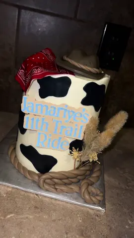 🐎🐴 #cowboycake #trailride #flavoredbakery #bakersoftiktok #fyp 