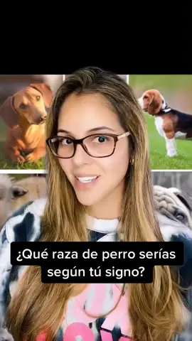 ¿Qué raza de perro serías según tu signo?  Pt2✨ #signoszodiacales #signosdelzodiaco 