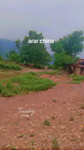 anar China#arshadking #50kfollowers💖❤ #50k like#hangu king#janan @AKHATAN_______تیزابی @AMiR_KHANi @ظاہر اللہ رحم زارین @ATIF KHAN @AbdulAziz Khan463 @ayaan khan 