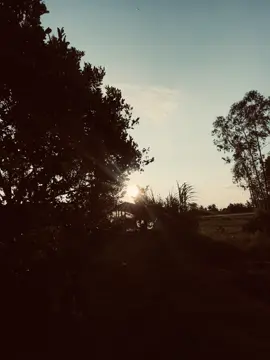 “隻小手遮不住所有的陽光，一小步遮不住每個人的心。 