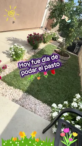 En casa siempre hay quehacer 💆🏽‍♀️ ese no se termina pero es algo que disfruto hacer 🥰 para mantener mi hogar hermoso 🌿🌱🌷🌺🍀🌹 #paratiiiiiiiiiiiiiiiiiiiiiiiiiiiiiii #hogar #plantas #fyp #contenido 
