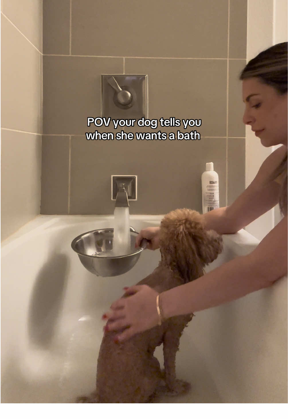 When Remi wants a bath she’s going to get a bath. 👸🏼🐶 #minigoldendoodle #minigoldendoodlesoftiktok #doodlesoftiktok #dogbath 