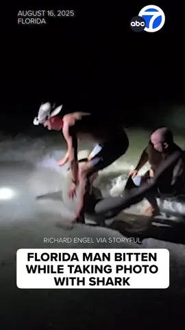 One man was hospitalized after taking a photo with a 6-foot lemon #shark off the #Florida coast. Shawn Meuse is expected to make a full recovery. He said that even with this near-death experience, it would not deter him from getting back to hunting predators in the future.