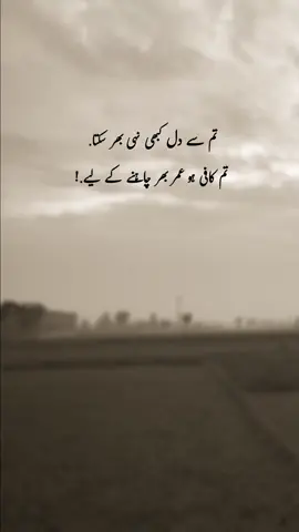 تم کافی ہو عمر بھر چاہنے کے لیے ❤️🌸#creatorsearchinsights #foryou #tiktokfouryoupage#tiktok #unfreezemyacount 