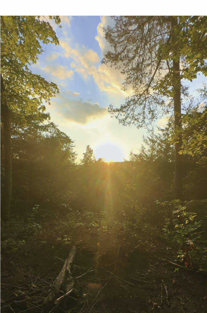 all hail the queen #fyp #righthere #rightnow #summertime #sunsettrail #wlw #heavenonearth