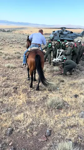 Some marines had an emergency landing and needed some horse power to move their crane  #godblessamerica #Jesuslovesyou #idaho #cowboy #loveGodloveyourneighbor 