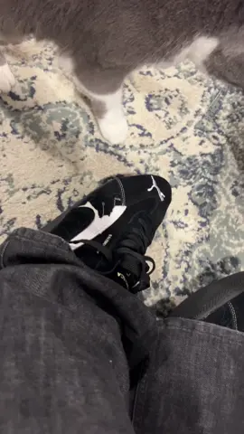 The speed cats are for sale @sebi.closet hmu if ur interested #balenciaga #puma #targetaudience #archivefashion #trending 