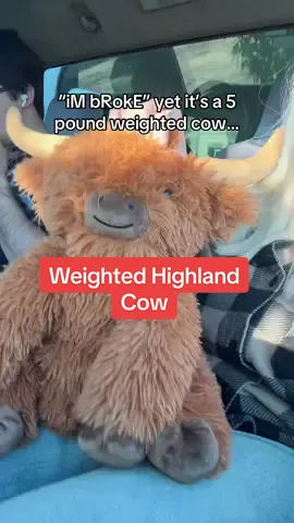 He sells out quick! #highlandcow #weightedcow #weightedstuffedanimal #stuffedanimal #tiktokshopcreatorpicks 