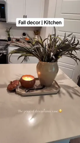 Fall decor finds 👌🏻 ceramic vase  #falldecorideas #falldecor #falldealsforyou #fallseason #kitchenfalldecor 