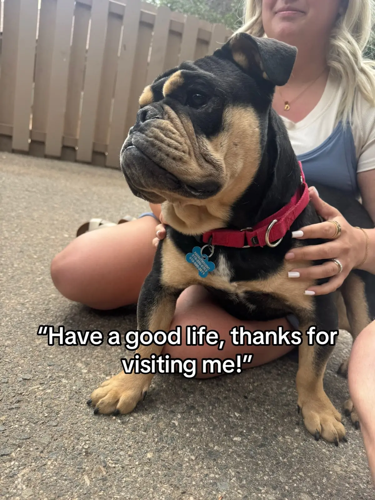 I love that we were able to rescue Wilson, he is the sweetest little boy ever.. and I hope he’s happy with us forever. #rescue #rescuedog #trending #viral #dogmom 