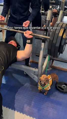 El rey del gym 🐕 Con razón 160 kilos 😈☠️ #gym #fyp #gymrat #GymTok 
