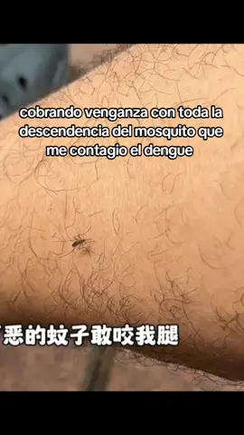 Los mosquitos pueden transmitir diversas enfermedades, incluyendo dengue, chikungunya, Zika, fiebre amarilla y malaria. Estas enfermedades son causadas por virus o parásitos que los mosquitos adquieren al picar a personas o animales infectados, y luego transmiten a otras personas a través de su saliva al picar. todo eso debe terminar.