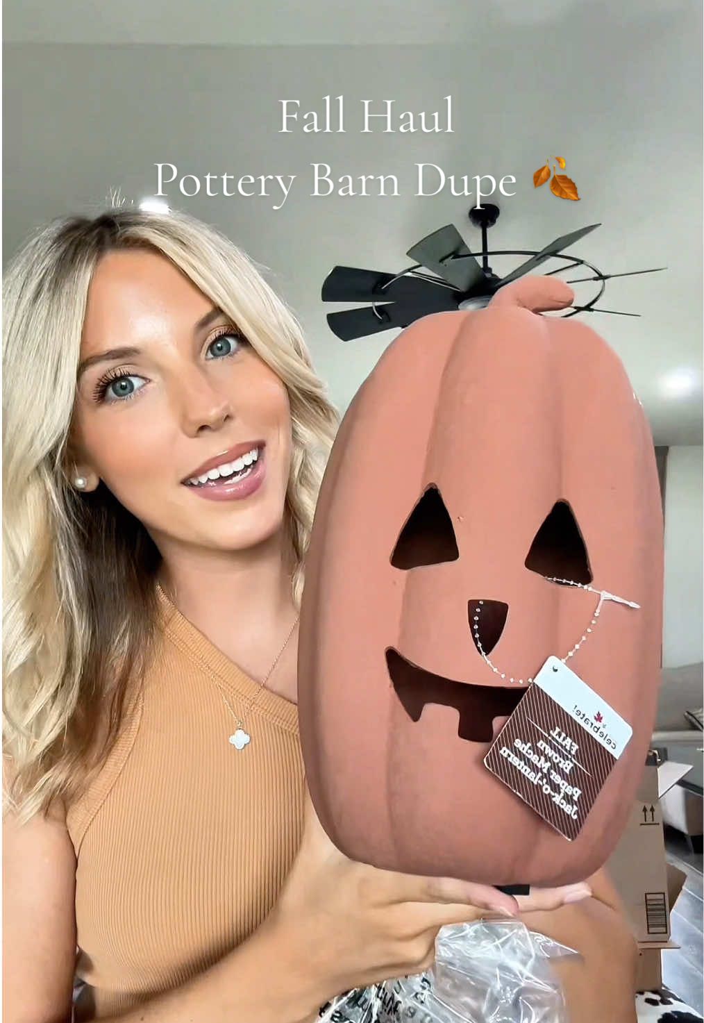 $6 Terracotta pumpkins at Walmart #potterybarndupe #terracottapumpkin #pumpkinseason #fallhaul #fall 