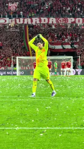 🧤🇦🇷  A festa é sozinho, mas a emoção é de todos 🔴⚫️ | @Flamengo  #Libertadores #Flamengo #GloriaEterna #Futebol #TikTokEsportes 