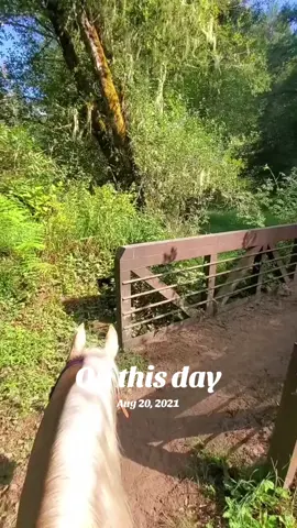 #onthisday