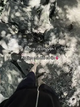 Chỉ có ăn ....🫀#quocvy_07 
