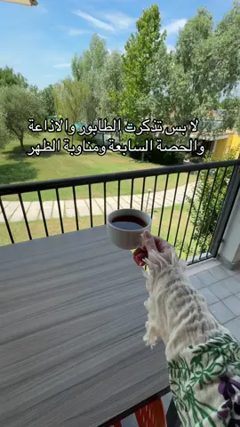 يارب كون في العون 🥲 #foryou #foryoupage #العودة_للمدرسة 
