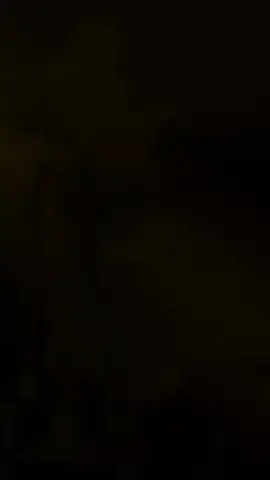 @21082026@