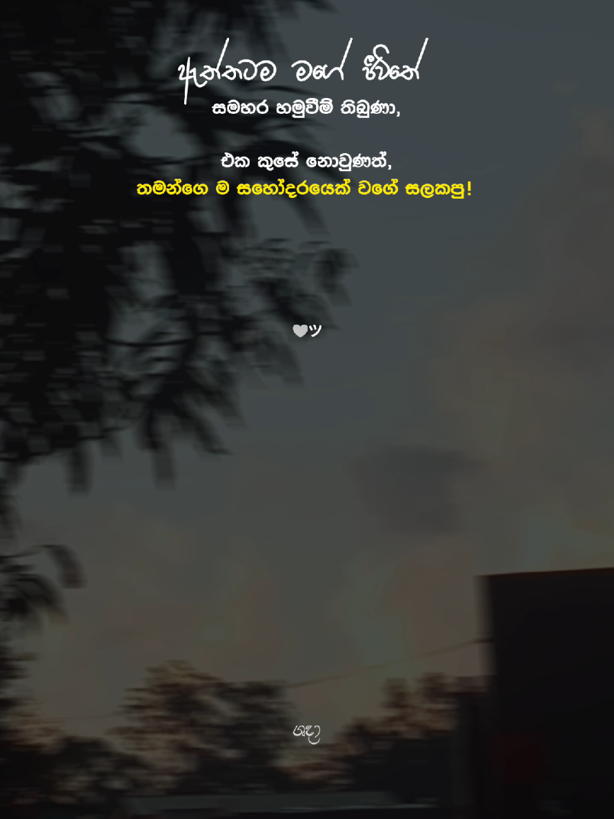 ගොඩක් ආදරෙයි!! 🥺🫶#foryou #foryoupage #fyp #sinhalaquotes #sha_dah 