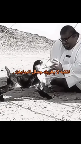 نوك فنش 🦦. #اكسبلو 