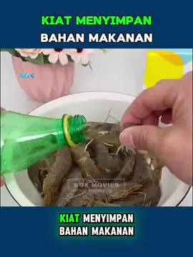 Tip menyimpan makanan 