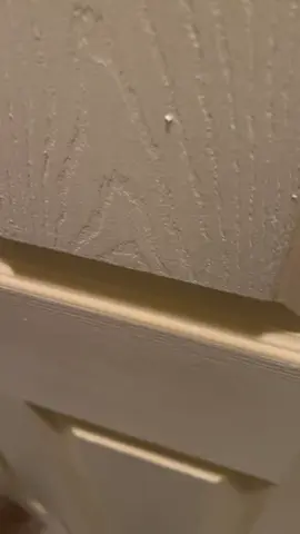 Opened my closet and found this 
