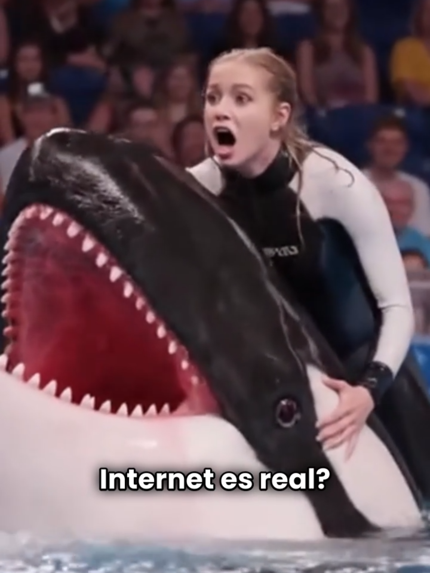 ❌ mentiras de la IA que millones creyeron 🤯 #techsonel  🌐 ¿Todo lo que ves en internet es real? Spoiler: ¡NO! 🚫 La IA y la desinformación ya engañaron a millones: ⚽ Un deepfake de video Cristiano Ronaldo (en realidad una edición). 🐋 El supuesto ataque de una orca a Jessica Radcliffe (en realidad era parte de un show). 👧 Una niña pintando su cabello que en verdad nunca existió, solo fue creada con inteligencia artificial. 👉 No todo lo viral es verdad. Aprende a detectar los fakes y no caigas en la trampa de la IA. 💬 ¿Ya te engañó algún video? Cuéntamelo en los comentarios 👇 #IA #InteligenciaArtificial #Deepfake #orca #cristianoronaldo#SeguridadDigital #jessicaradclifee