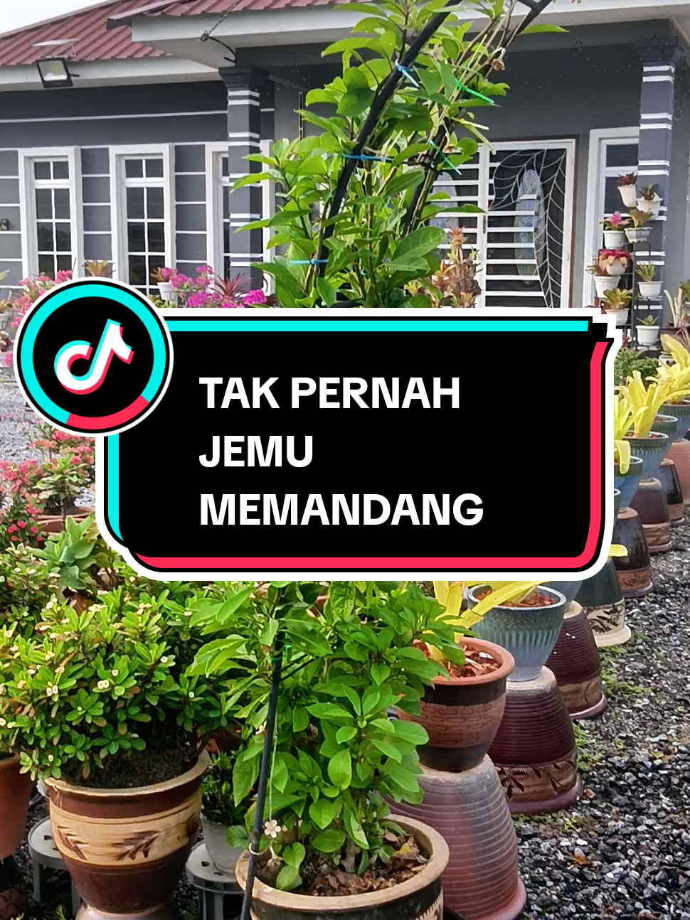 masih dilokasi yang sama cuma waktu dan tarikh sahaja yang berbeza🤗 #masyaallahtabarakkallah #sihatitunikmat #nonegetifenergy #susanakampung 
