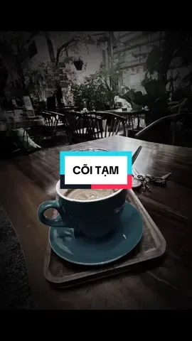 Cõi tạm #aimusic 