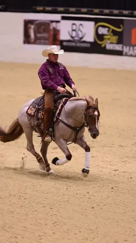 REBEL KING & Corey Cushing marcando un 222.5 en el NSHA Open Derby  de la NRCHA.  Hasta e momento han logrado $275,500 dlls en ganancias de NRCHA.  @coreycushingperformancehorses.  •••••••••••••••🕊️••••••••••••••••  Caballos La Paloma •••••••••••••••••••••••••••••••• #ararebelking #caballoslapaloma #caballos #horse #horses      