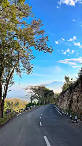 #CapCut asli vibes nya bikin candu 🤟🏻🍃 #kalipare #vibespagi #fypage #morningvibes 