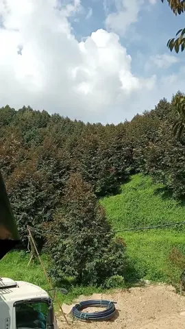 tập một mình chỉ cố gắn kiếm tiền  🥰🥰
