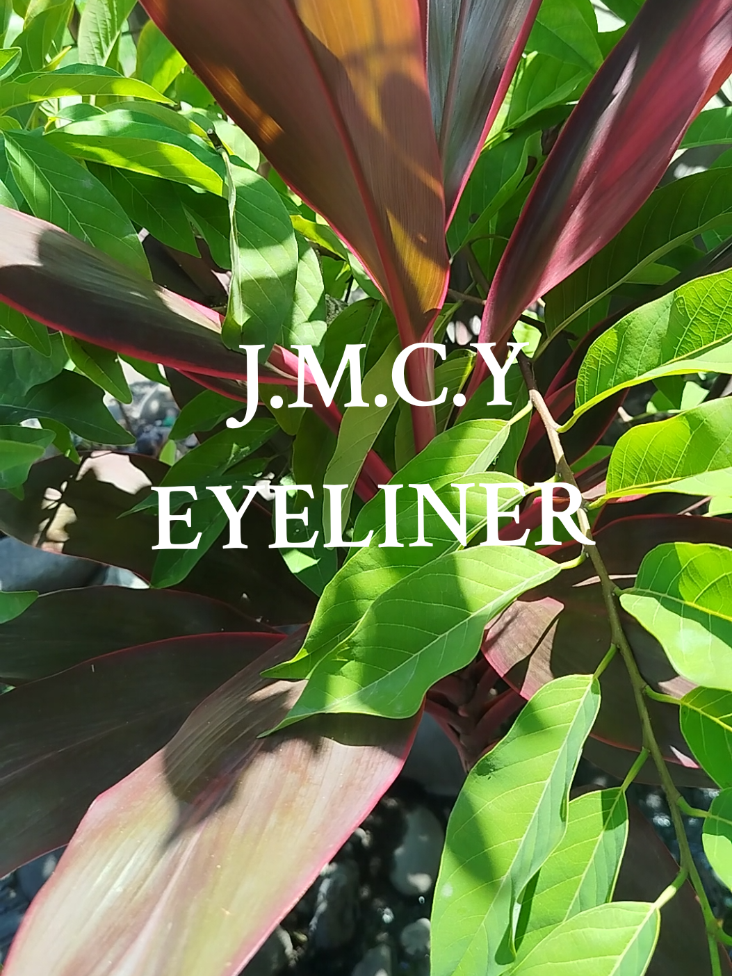 buy 1 take 1 eyeliner!! #jmcy #Eyeliner #fypシ゚viral 