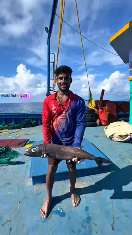 Guess the fish name guys? 🤔 #shorts #OceanVibes #us 