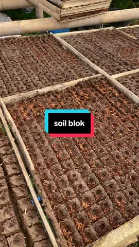pembuatan media semai soil blok #rizqunafamilyfarm #soilblok 