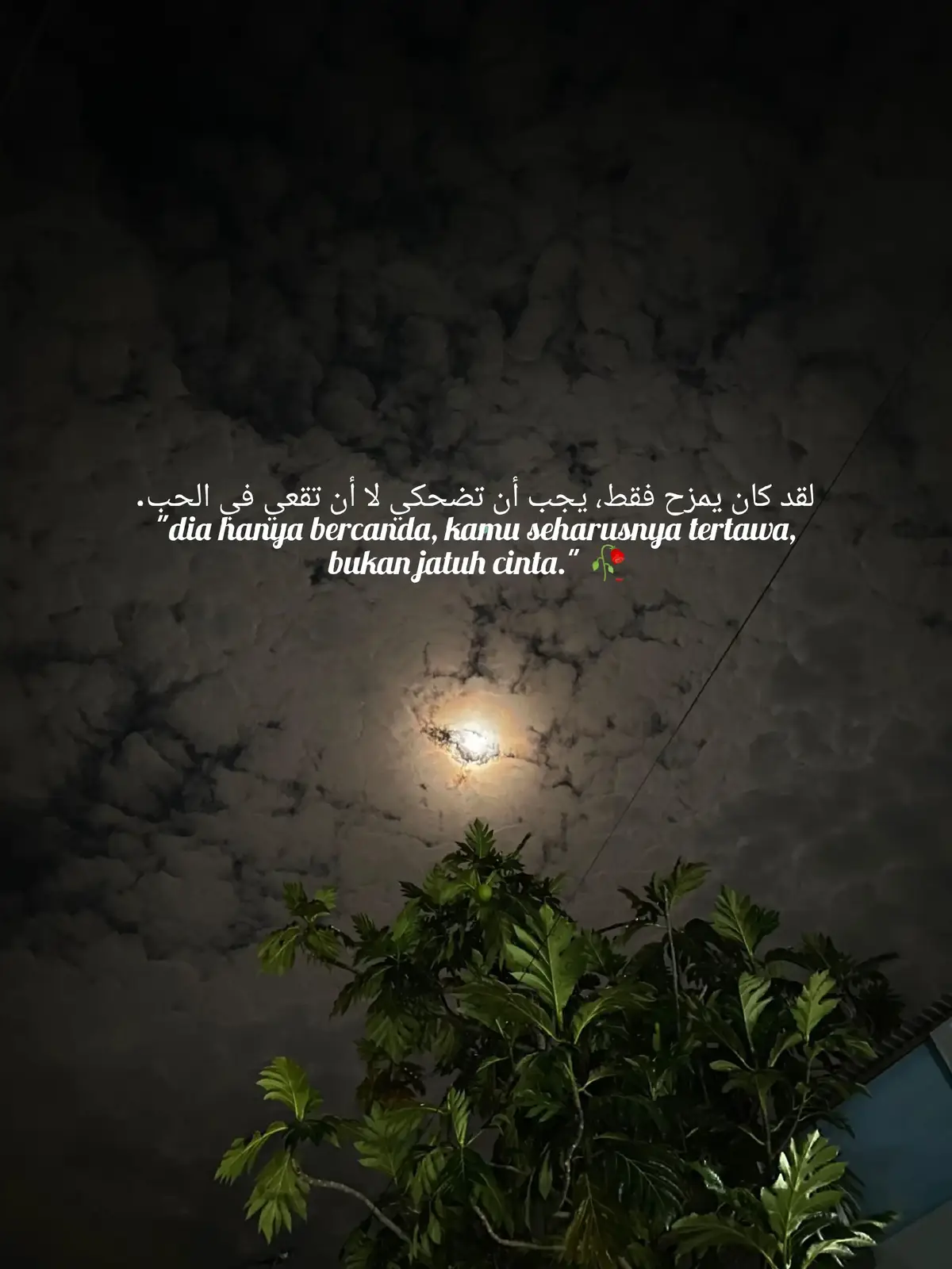terimakasih telah membuatku merasa dicintai walau semua itu omong kosong:')  #arabic #katakata 