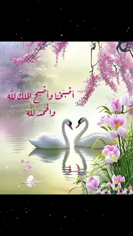 #أصبحنا_وأصبح_الملك_لله_الحمدلله 