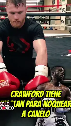 así lo dijo crawford noqueara a canelo tu que piensas #sport #box #boxeo #boxing🥊 #paratiiiiiiiiiiiiiiiiiiiiiiiiiiiiiii 