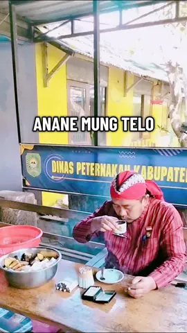 Telo godog, kopi pait. #telogodog  #telogodok  #telokopi 